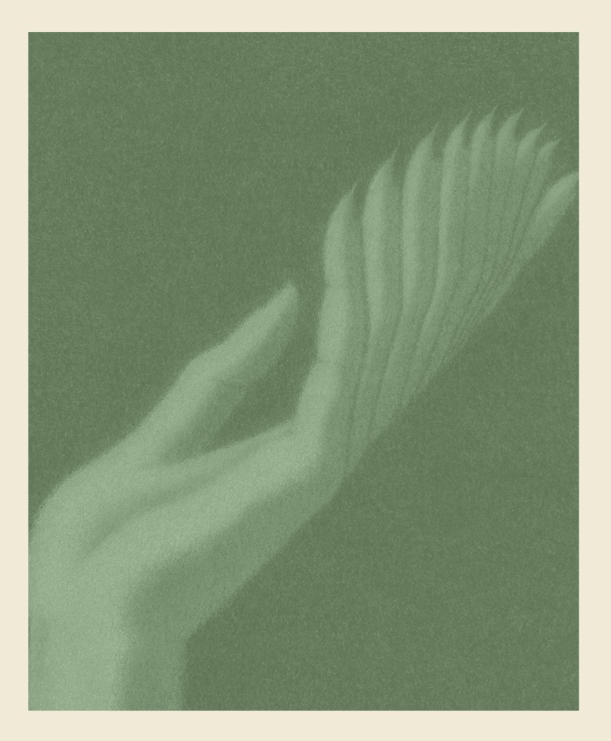 Dear diary, hell hath no fury like a woman scorned? Please…