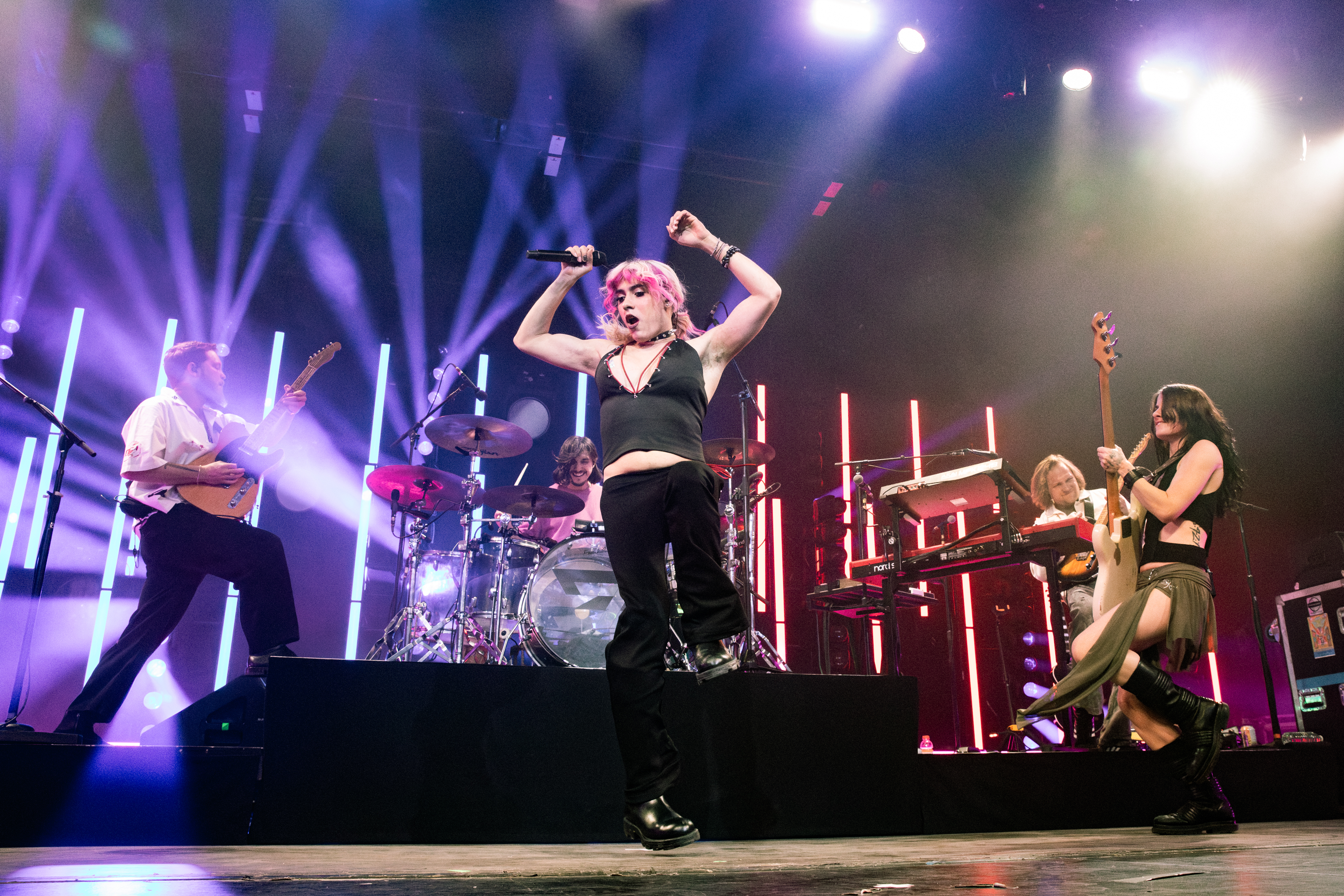 DANG! Rainbow Kitten Surprise in Toronto